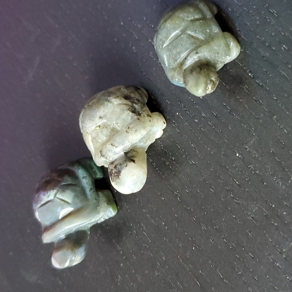 Turtle Family 🐢🐢🐢 - Picture 1 of 9